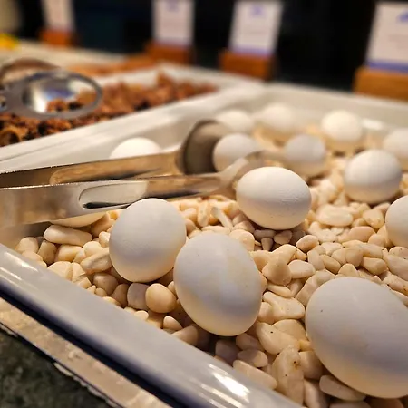 Grand Permon Ξενοδοχείο